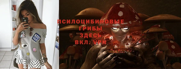 ПСИЛОЦИБИНОВЫЕ ГРИБЫ Алексин