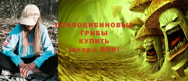 ПСИЛОЦИБИНОВЫЕ ГРИБЫ Алексин