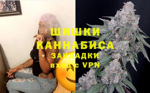 спайс Алзамай